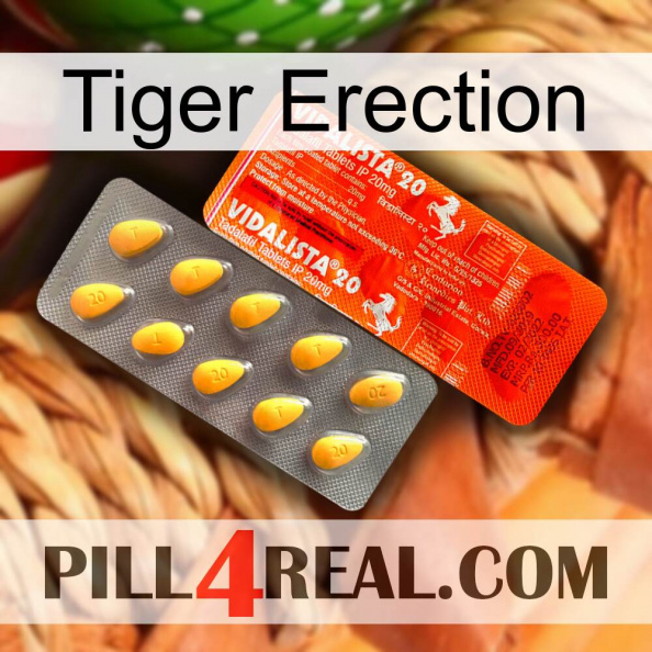 Tiger Erection new01.jpg